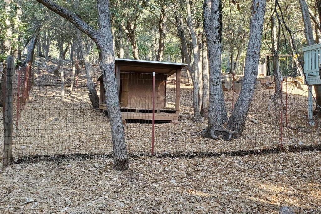 Pine Hills Cabin In ジュリアン エクステリア 写真