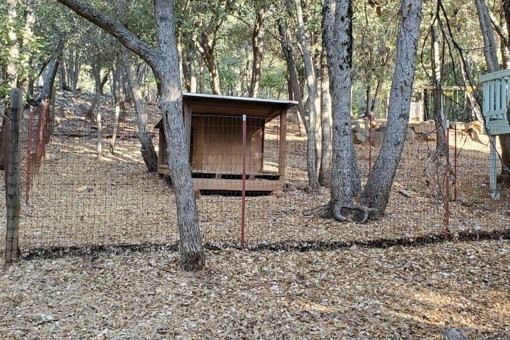Pine Hills Cabin In ジュリアン エクステリア 写真